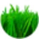 Lio Verde